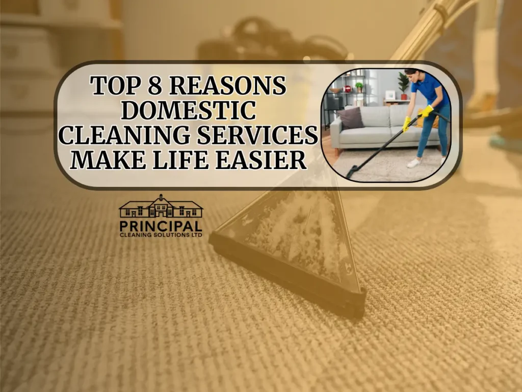 Domestic Cleaning Services